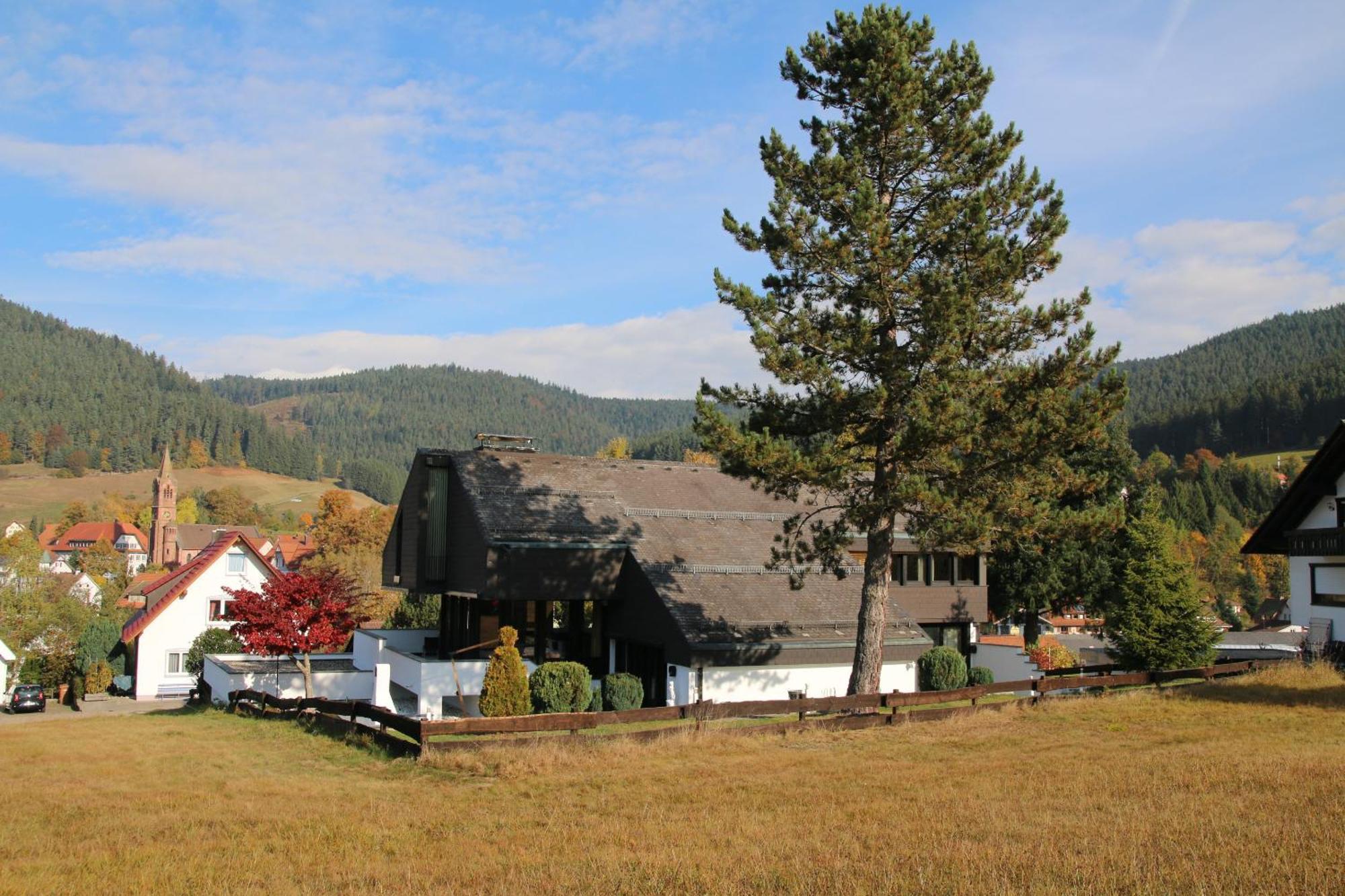 Luxus-Landhaus Im Schwarzwald/Baiersbronn Mit Pool Villa Bagian luar foto