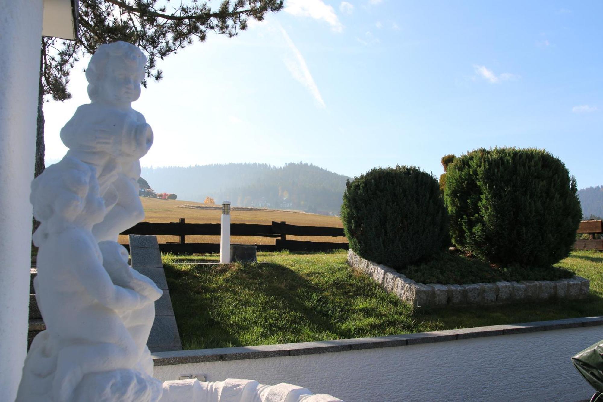 Luxus-Landhaus Im Schwarzwald/Baiersbronn Mit Pool Bagian luar foto