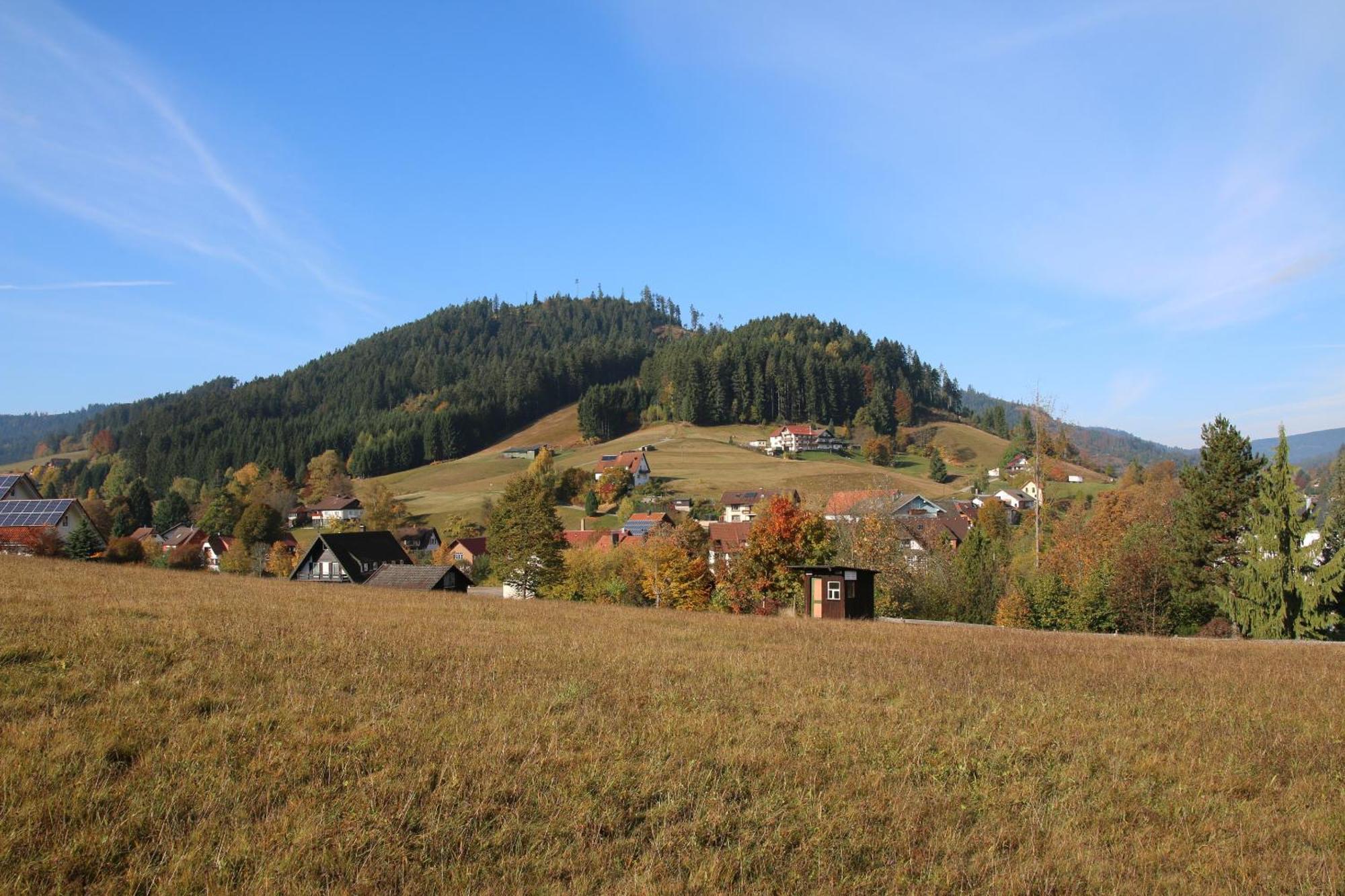 Luxus-Landhaus Im Schwarzwald/Baiersbronn Mit Pool Villa Bagian luar foto